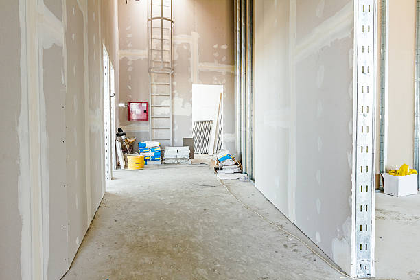 Best Drywall for New Construction  in Port Neches, TX